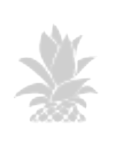 Pineapple fiber icon
